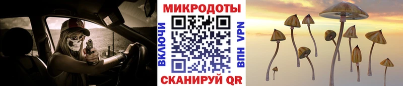 Галлюциногенные грибы Psilocybine cubensis  Лермонтов 